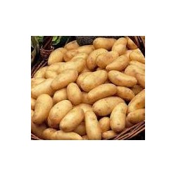 Pommes de terre amandine 500g