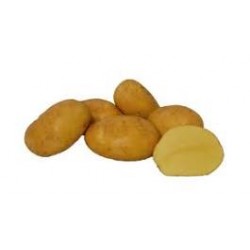 Pommes de terre Agria 500g