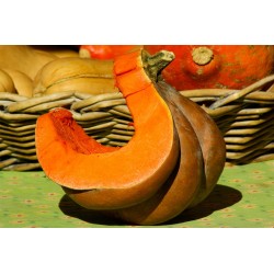 Courge muscade 500g Fr