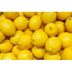 Citron Corse France HVE 9kg